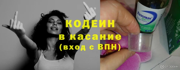 ГАЛЛЮЦИНОГЕННЫЕ ГРИБЫ Абаза