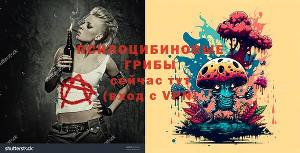 ГАЛЛЮЦИНОГЕННЫЕ ГРИБЫ Абаза