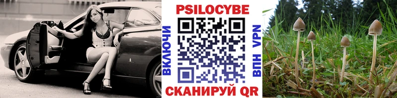 Псилоцибиновые грибы прущие грибы  Великий Новгород 